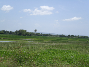 阿蒂博尼特河