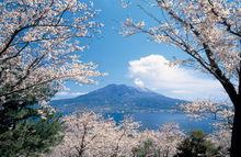 櫻島火山