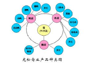 四川廣漢龍松禽業