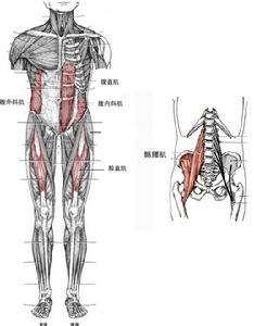 核心力量