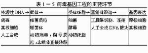 病毒基因工程