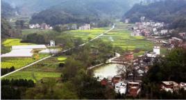 小龍村[雲南省蘭坪白族普米族自治縣中排鄉小龍村]