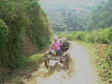 入村道路