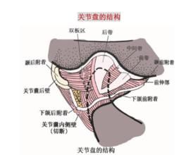 關節盤