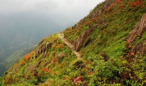 金子山原生態旅遊風景區