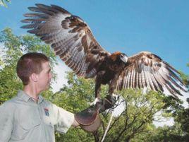 凱恩斯熱帶動物園