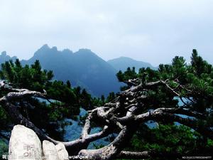 伏龍山[湖北省十堰市伏龍山]