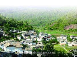 鳳窩村[玉溪峨山縣岔河鄉下轄村]