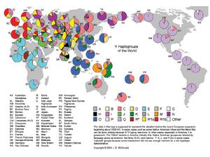 世界線粒體DNA單倍群分布圖