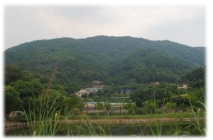 陳洞村[廣東廣州市鍾落潭鎮下轄村]