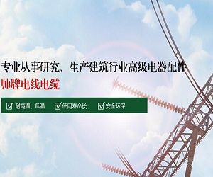 南通東弘電線電纜有限公司