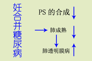 新生兒肺透明膜病