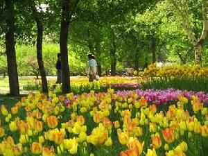 北京植物園景色