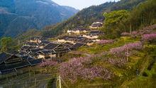 玉林村[福建省穆雲畲族鄉玉林村]