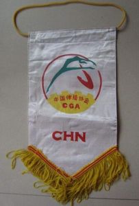 中國體操協會