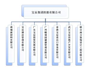 寶辰集團控股有限公司