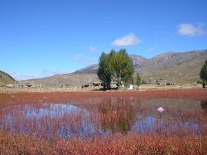 Daocheng County