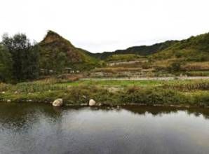 崎峰茶村