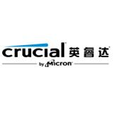 Crucial[品牌名稱]