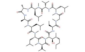 環孢菌素