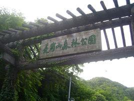 長崗山森林公園