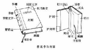 競爭與合作