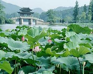 新西湖十景