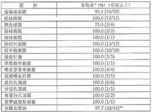 氧氟沙星眼膏