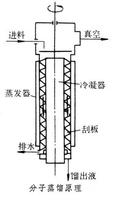 分子蒸餾