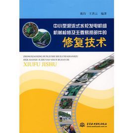 中小型混流式水輪發電機組機械檢修及主要易損部件的修復技術