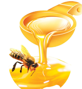 蜂學專業-蜂蜜