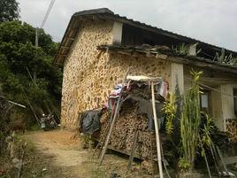 東洋村[廣東省饒平浮山鎮下轄村東洋村]