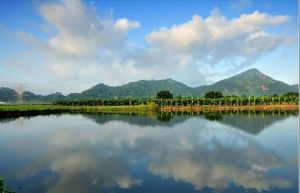 龍江[廣東潮汕西南部河流]