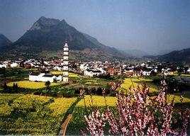 新葉村[浙江建德大慈岩鎮新葉村]