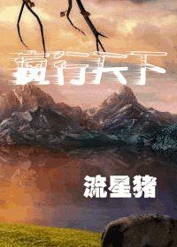 瘋行天下[流星豬創作小說]