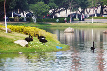 天津大學仁愛學院