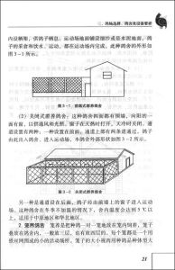 《肉鴿養殖與疾病防治》