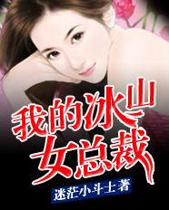 我的冰山女總裁[迷茫小鬥士的小說]