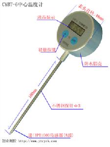 攜帶型溫度計