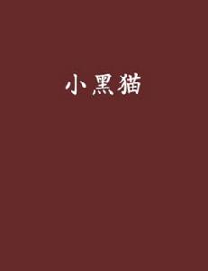 小黑貓[薇若的兩生花小說]