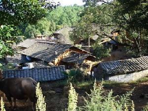 下格村[雲南宣威市龍潭鎮下格村]