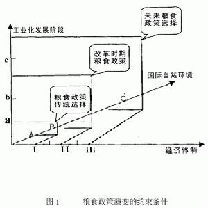 社會主義原始積累論