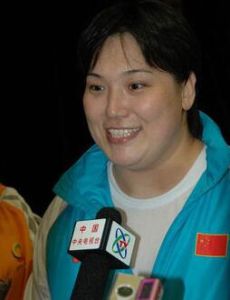 Ding Meiyuan