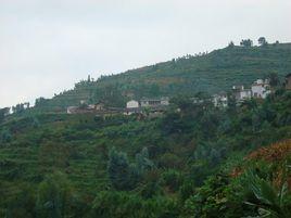 四方地村[雲南楚雄州三街鎮下轄村]