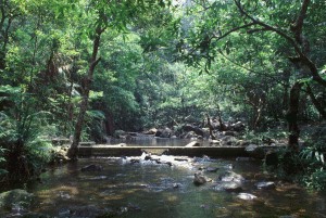 淡水動物棲息地