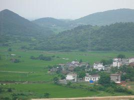 南莊村[安徽省馬鞍山市雨山區向山鎮南莊村]