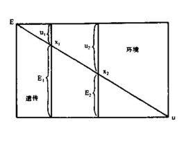 決定論