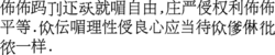 方塊壯文書寫的“平等宣言”