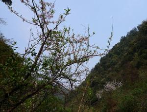 徑山·山溝溝國家級森林公園