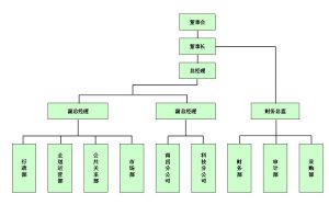 公司組織結構